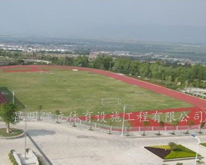 大渔中学运动场建设项目